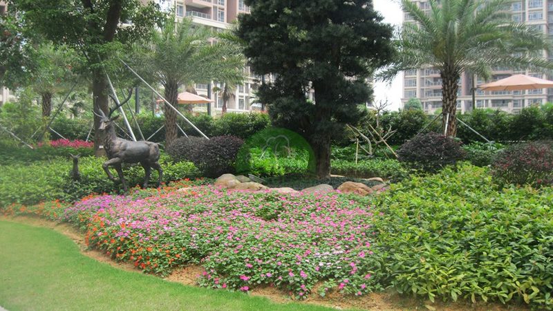 屋顶绿化种植箱：打造绿色屋顶的秘密武器**