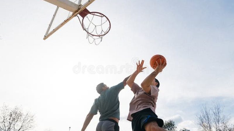 成都别墅花园设计效果图：打造私家园林的艺术与科学**