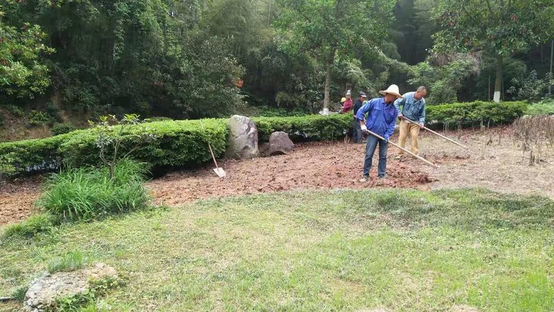 道路绿化带排水设计与普通排水区别解析**