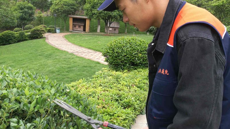 立体绿化工程报价明细：关键因素与解析