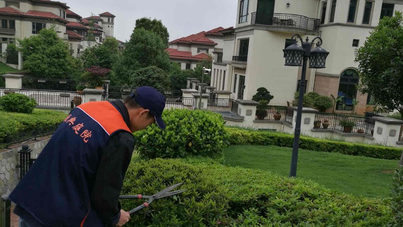 成都别墅花园设计：如何打造私人绿洲**