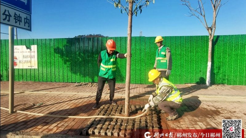 揭秘：假山喷泉厂家排名背后的秘密**