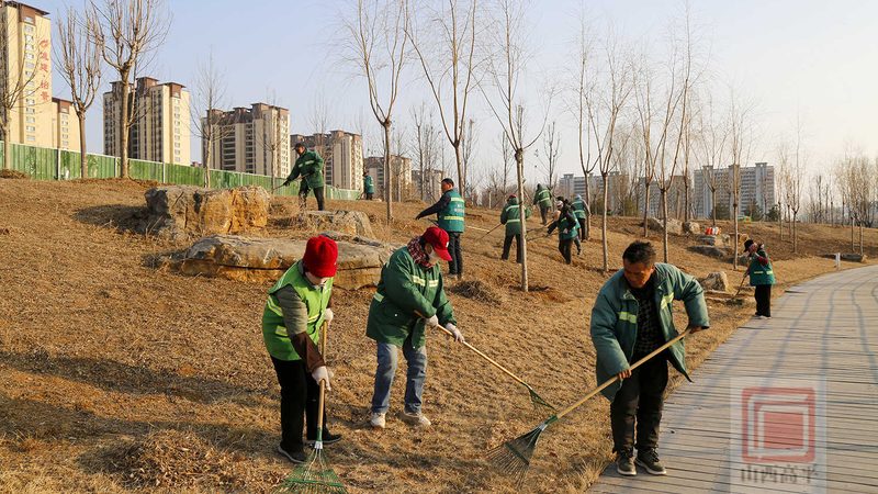 行道树土球尺寸：尺寸标准与施工要点
