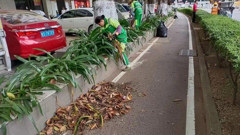 高速公路边坡绿化施工方案解析**