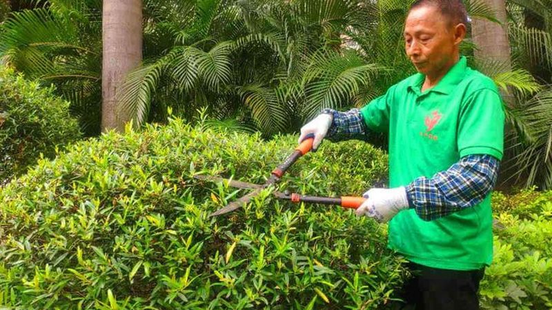 道路绿化带排水施工图设计：关键要素与注意事项**