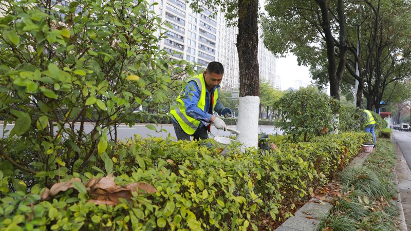 小区绿化设计施工费用：揭秘影响成本的关键因素**