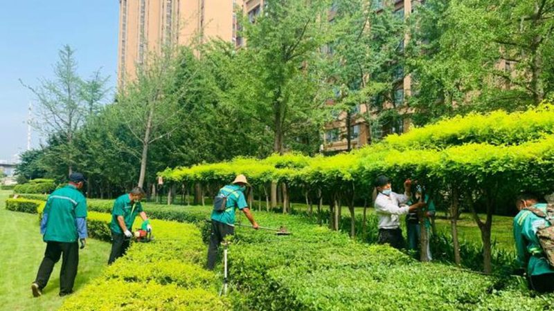 绿植租赁在以下行业中具有临时性需求，为活动增添绿色元素：